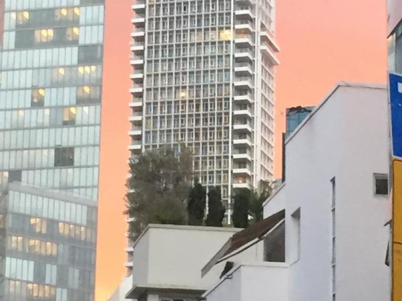 מגדלי מאייר